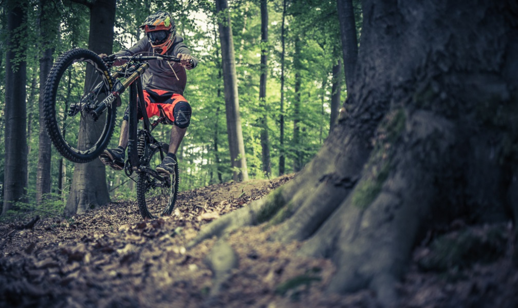 _MG_3924-Bearbeitet.jpg