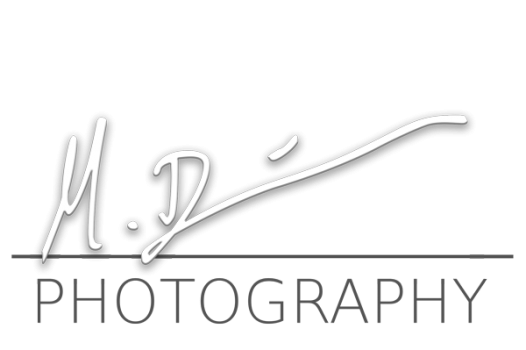 logo-mb-600.png